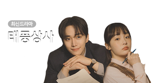 드라마 - 태풍상사