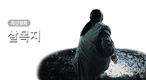 영화 - 살목지
